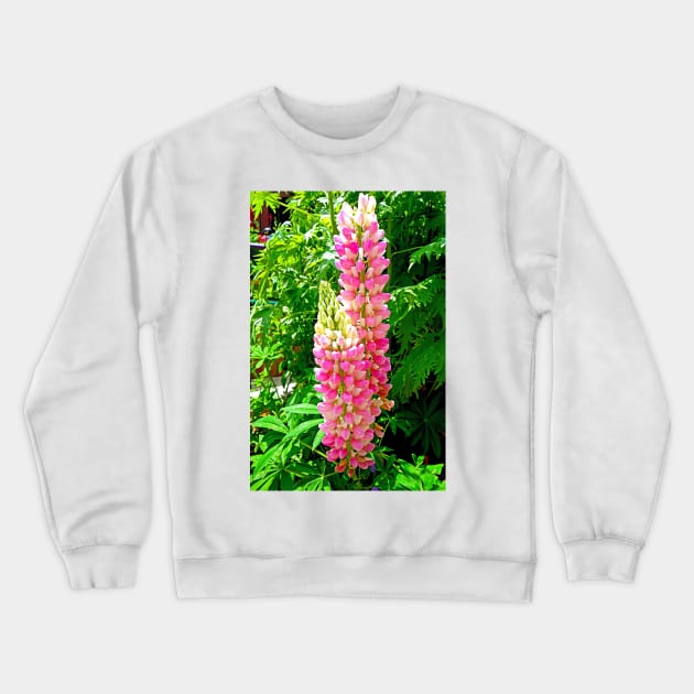 Lupine Pretty in Pink Crewneck Sweatshirt by bobmeyers